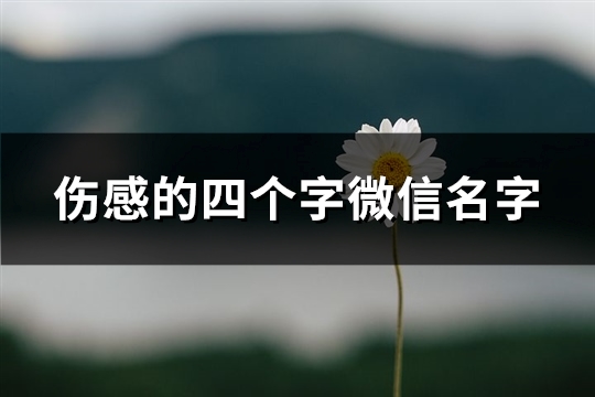 伤感的四个字微信名字(优选584个)