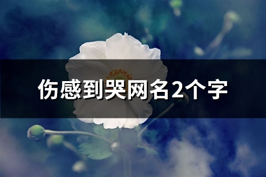 伤感到哭网名2个字(精选433个)