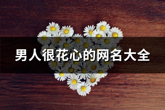 男人很花心的网名大全(328个)