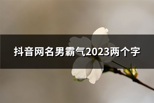 抖音网名男霸气2023两个字(共821个)