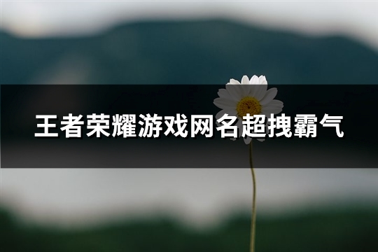 王者荣耀游戏网名超拽霸气(298个)