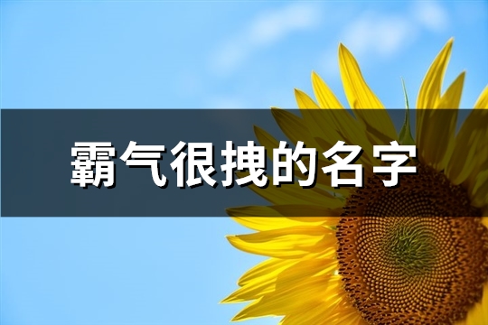 霸气很拽的名字(精选484个)