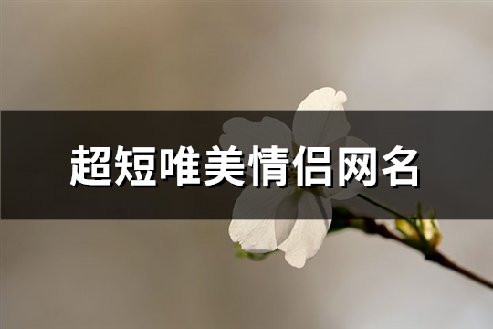 超短唯美情侣网名(精选99个)