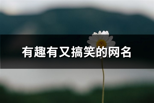 有趣有又搞笑的网名(优选276个)