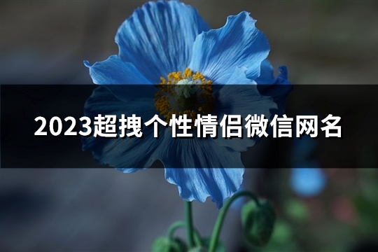 2023超拽个性情侣微信网名(共327个)