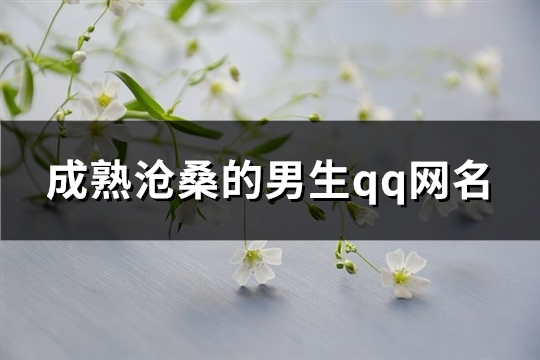 成熟沧桑的男生qq网名(优选358个)