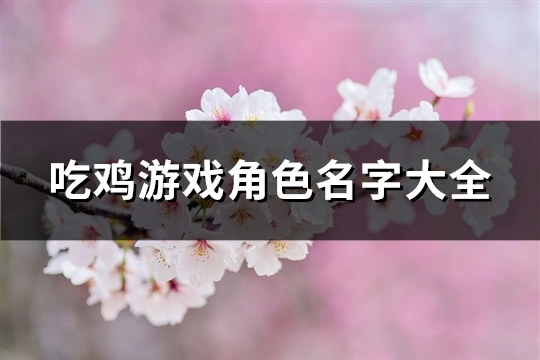 吃鸡游戏角色名字大全(优选261个)