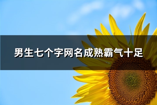 男生七个字网名成熟霸气十足(192个)