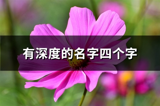 有深度的名字四个字(共869个)