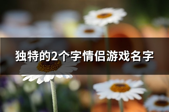 独特的2个字情侣游戏名字(优选180个)