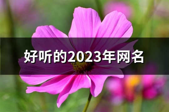 好听的2023年网名(精选1455个)