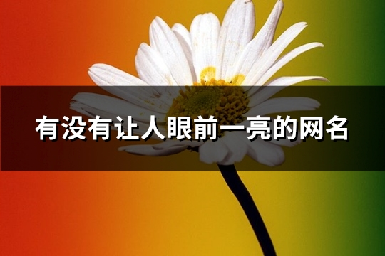 有没有让人眼前一亮的网名(271个)