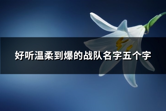 好听温柔到爆的战队名字五个字(优选316个)