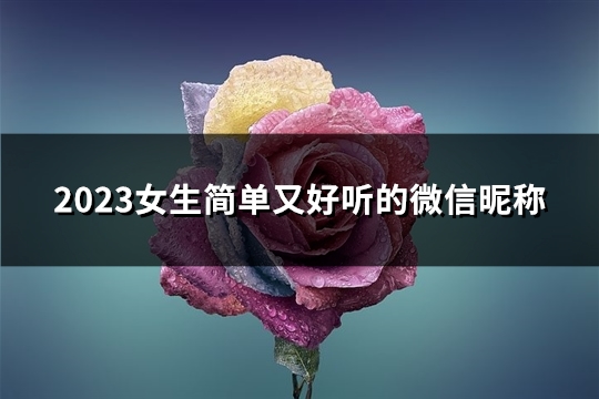 2023女生简单又好听的微信昵称(686个)