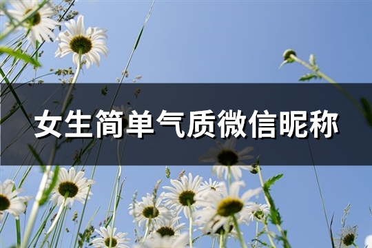 女生简单气质微信昵称(优选1142个)