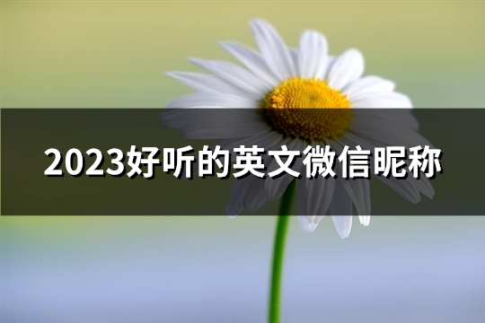 2023好听的英文微信昵称(精选141个)