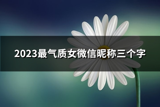 2023最气质女微信昵称三个字(精选391个)