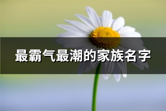 最霸气最潮的家族名字(共328个)