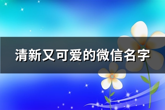 清新又可爱的微信名字(优选702个)