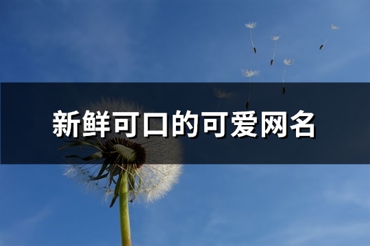 新鲜可口的可爱网名(精选417个)