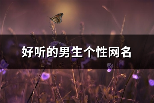 好听的男生个性网名(精选718个)