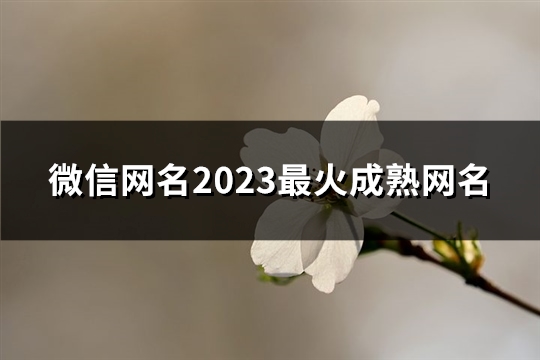 微信网名2023最火成熟网名(1606个)