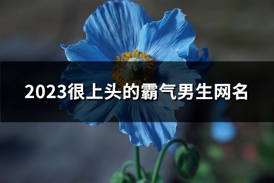 2023很上头的霸气男生网名(精选1464个)