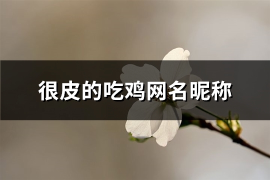 很皮的吃鸡网名昵称(精选432个)