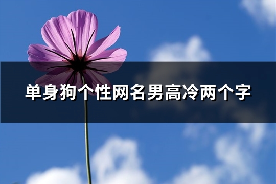 单身狗个性网名男高冷两个字(精选1192个)