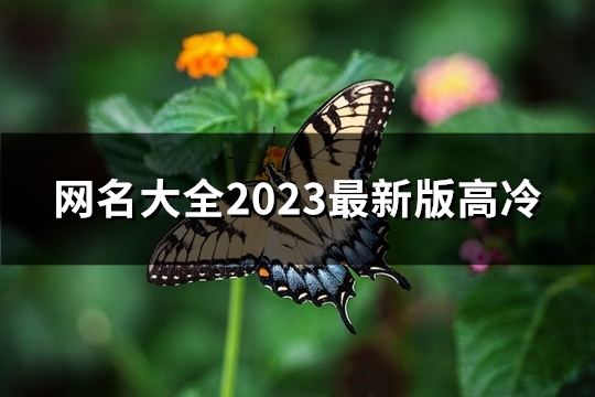 网名大全2023最新版高冷(共671个)