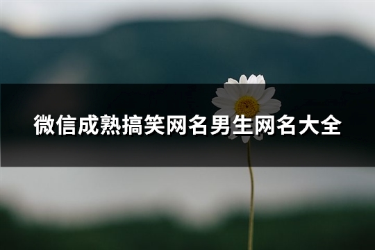 微信成熟搞笑网名男生网名大全(优选210个)