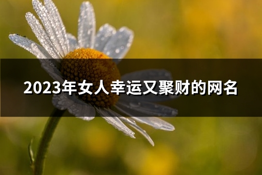 2023年女人幸运又聚财的网名(724个)