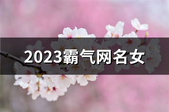 2023霸气网名女(845个)