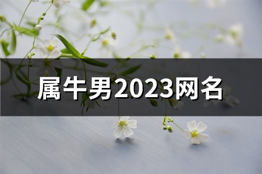 属牛男2023网名(精选69个) 属牛男2023网名(精选69个)