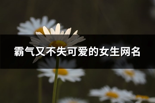 霸气又不失可爱的女生网名(共320个)