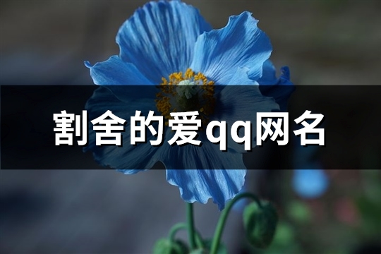 割舍的爱qq网名(优选109个)