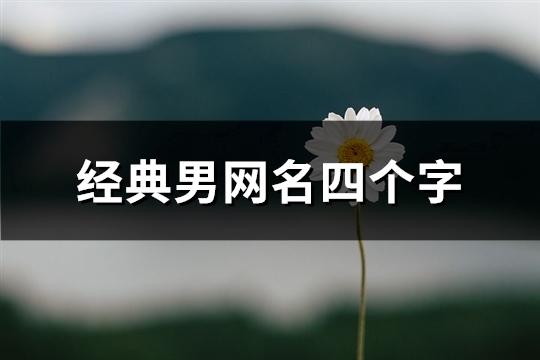 经典男网名四个字(517个)