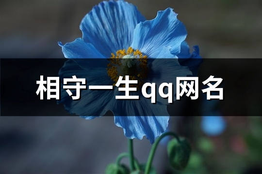 相守一生qq网名(精选99个)