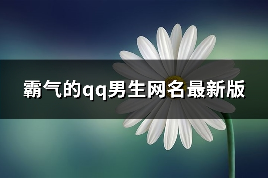 霸气的qq男生网名最新版(76个)