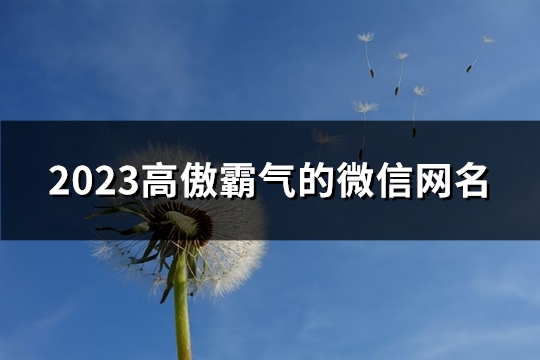 2023高傲霸气的微信网名(1074个)