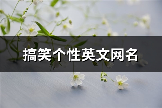 搞笑个性英文网名(共61个)