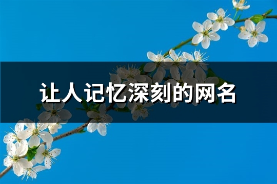 让人记忆深刻的网名(优选340个)