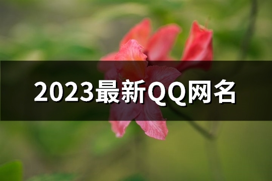 2023最新QQ网名(优选668个)