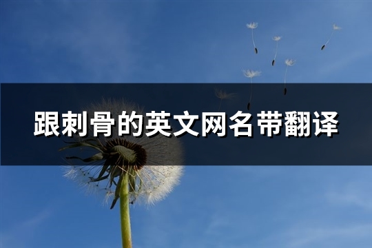 跟刺骨的英文网名带翻译(优选76个)