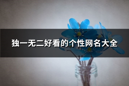 独一无二好看的个性网名大全(共553个)