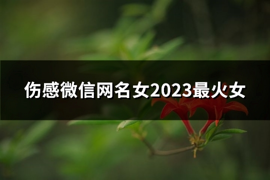 伤感微信网名女2023最火女(共72个)