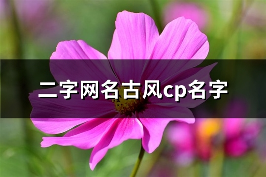 二字网名古风cp名字(精选151个)