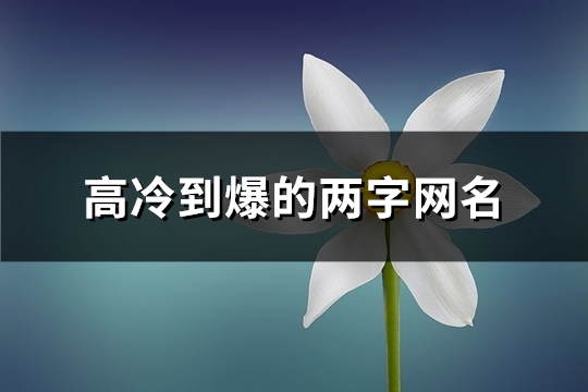 高冷到爆的两字网名(651个)