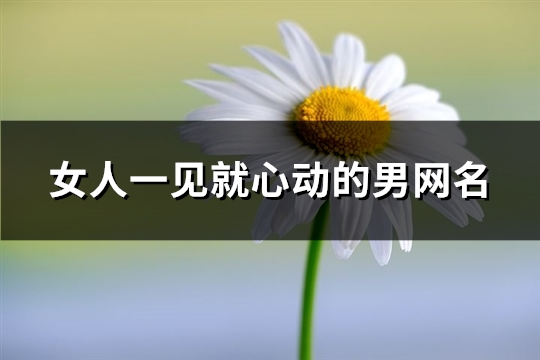 女人一见就心动的男网名(精选278个)
