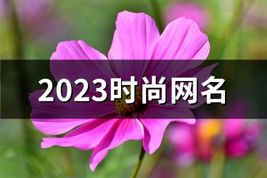 2023时尚网名(优选395个)
